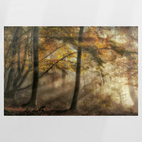 PO-120W080