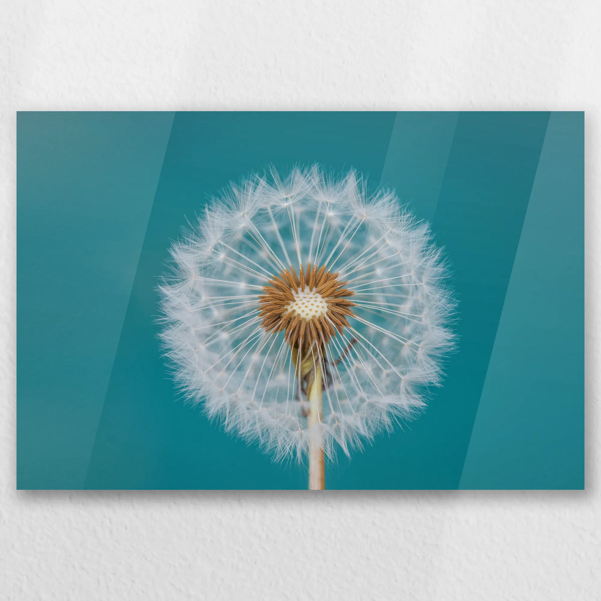 AC-030W020