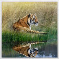 AC-070W070