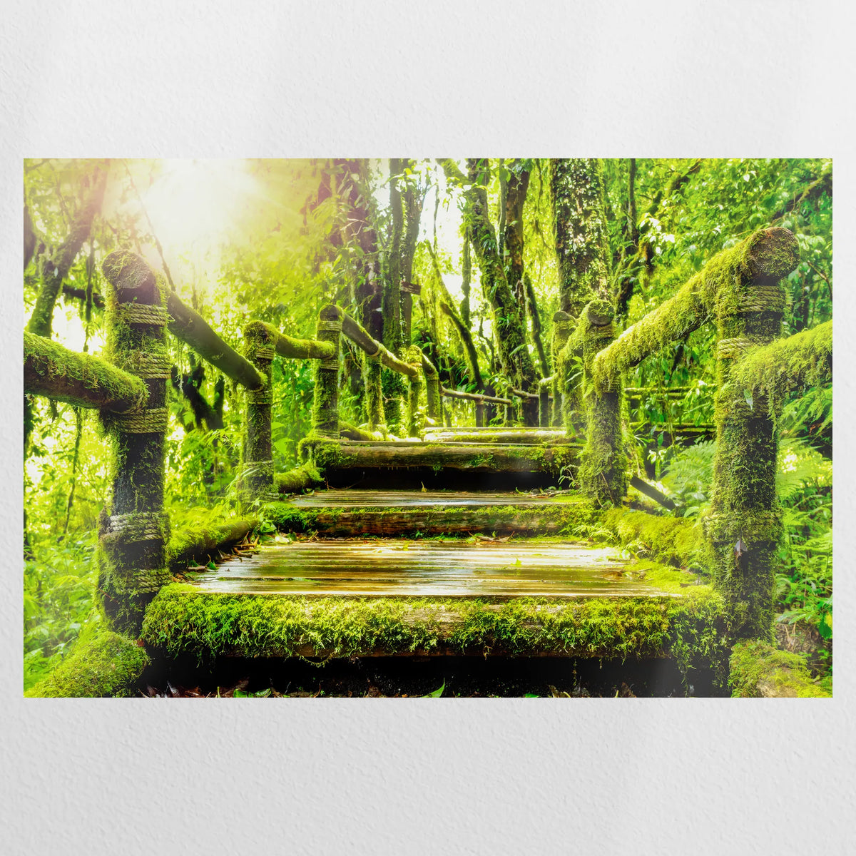 PO-090W060