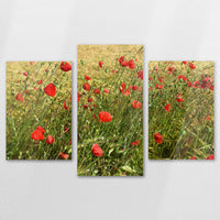 AC-150T100