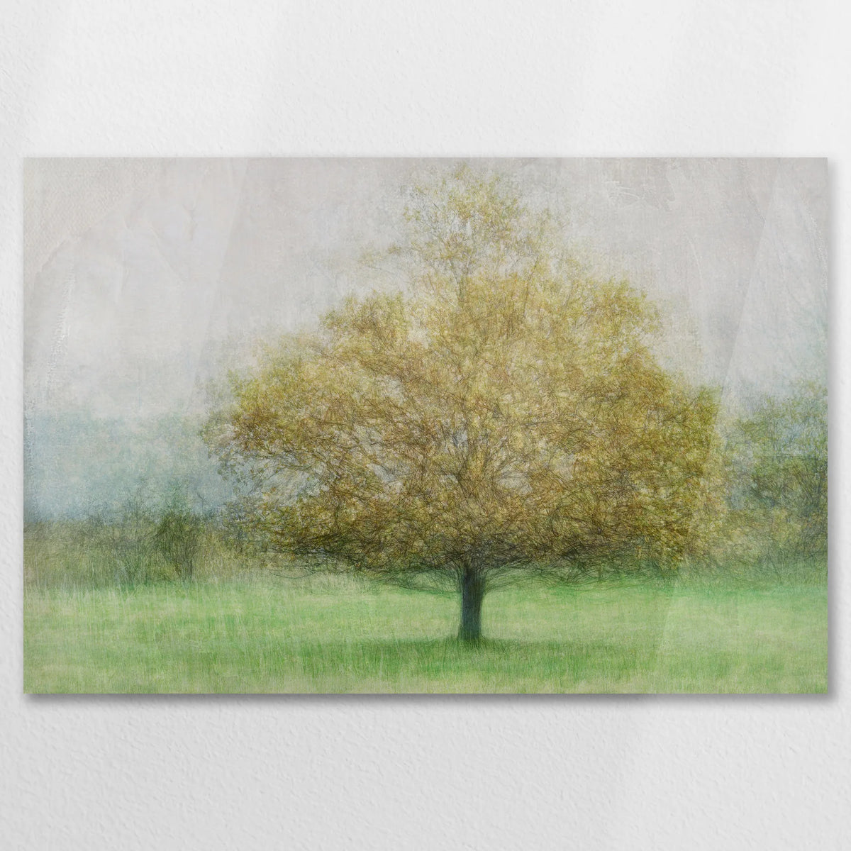 AC-075W050