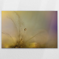 LW-120W080