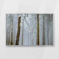 PS-120W080