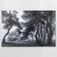 AC-090W060