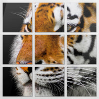 AC-270Z270