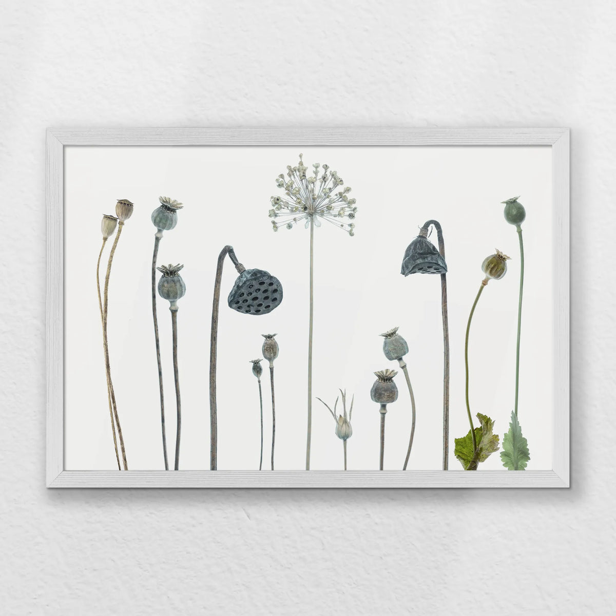 PW-060W040
