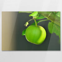 AC-075W050