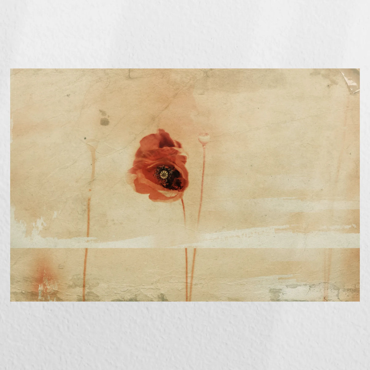 PO-030W020