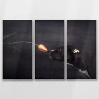 LW-090R060