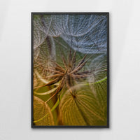 LWB070W100