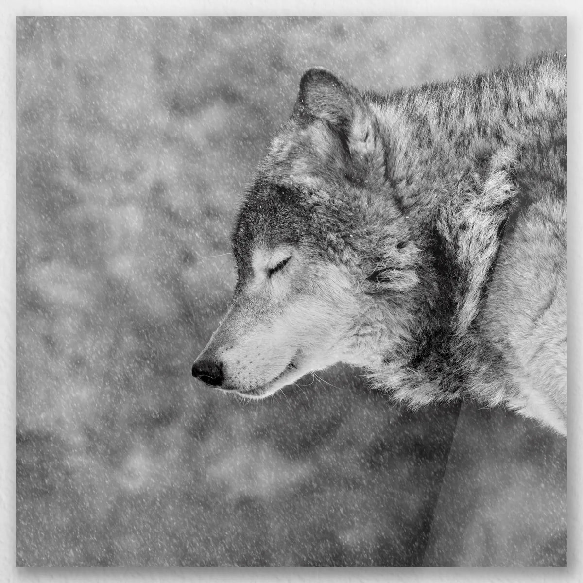 AC-060W060