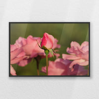 PB-060W040