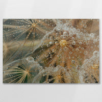 AC-075W050