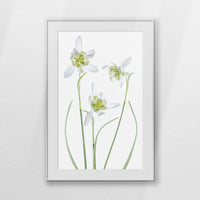 PSP080W120