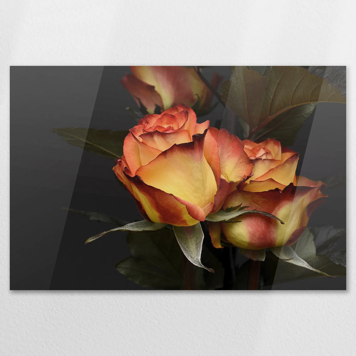 AC-120W080