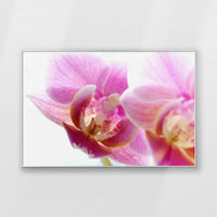 PS-120W080