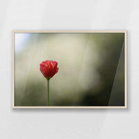PN-093W062