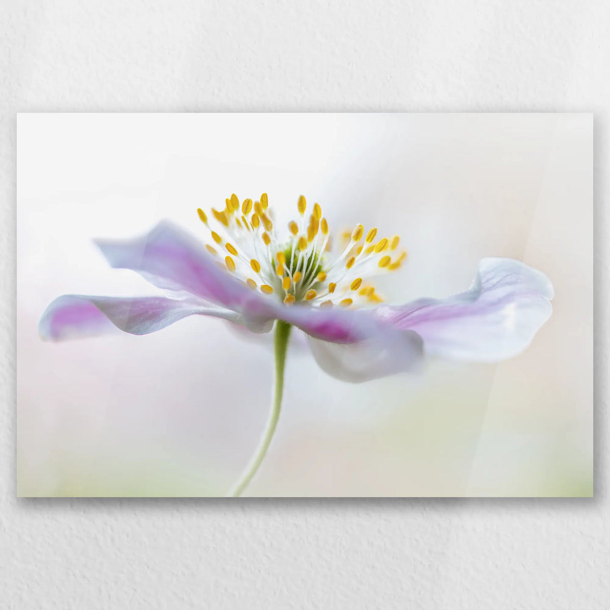 AC-060W040