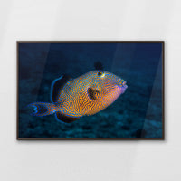 LWN120W080