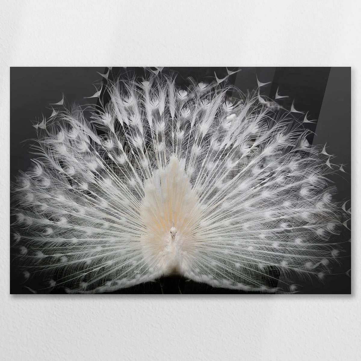 AC-075W050