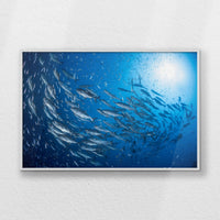 LWW120W080