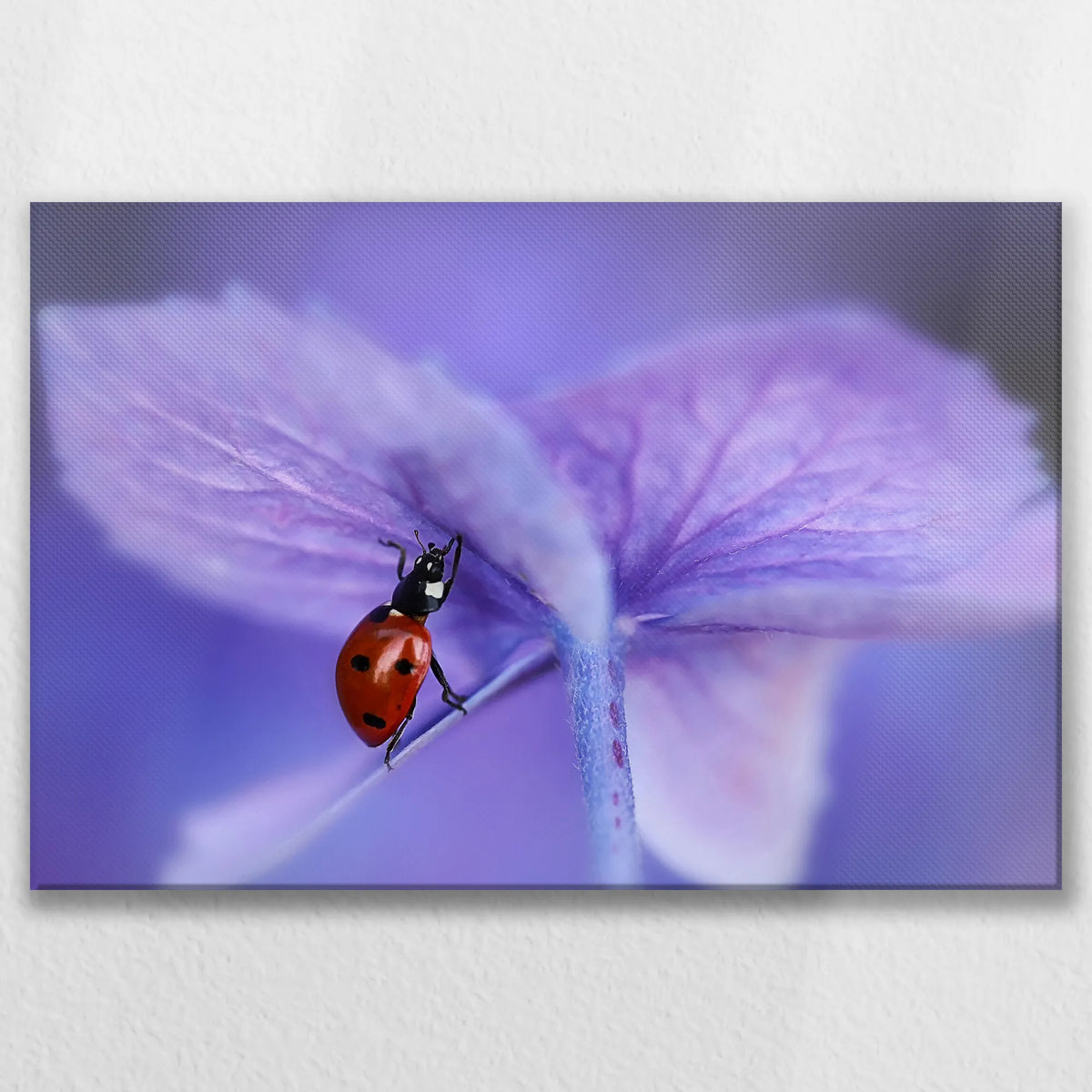 LW-075W050