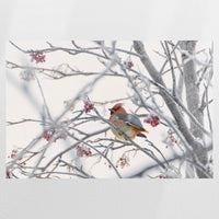 PO-075W050