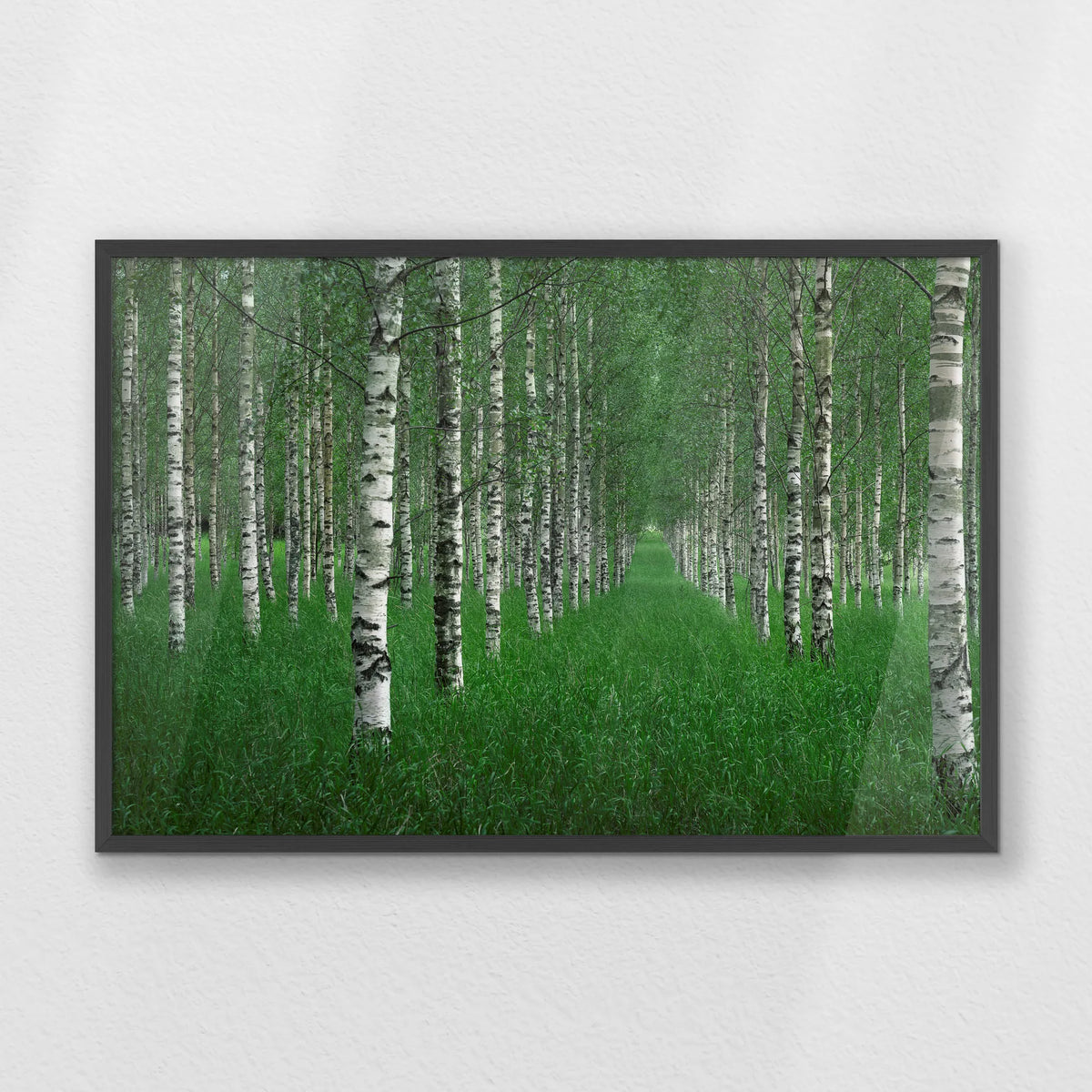PK-093W062