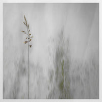 PO-090W090