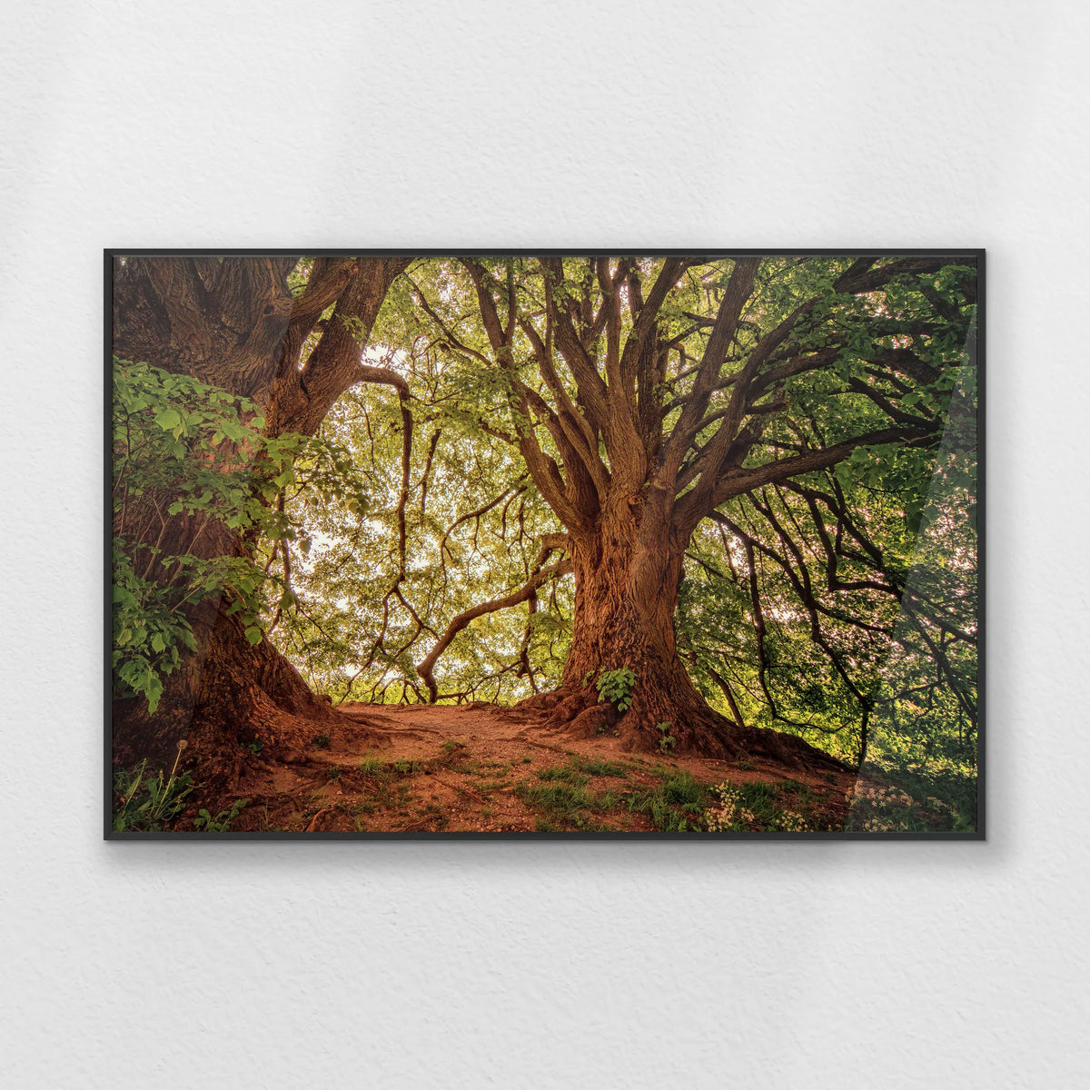 PB-093W062