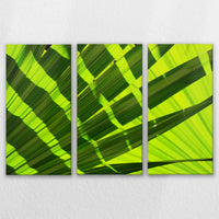 LW-120R080