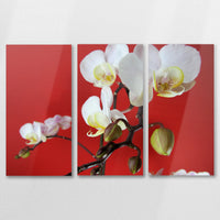 AL-090R060