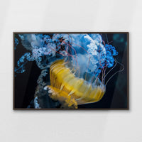 LWN120W080