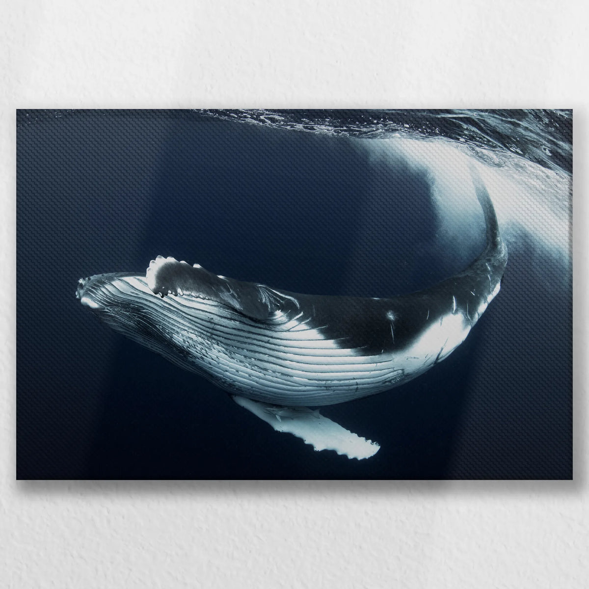 LW-045W030