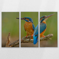 LW-120R080