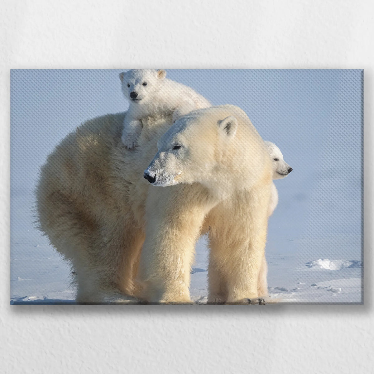 LW-045W030
