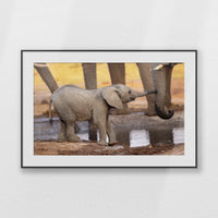PBP100W070