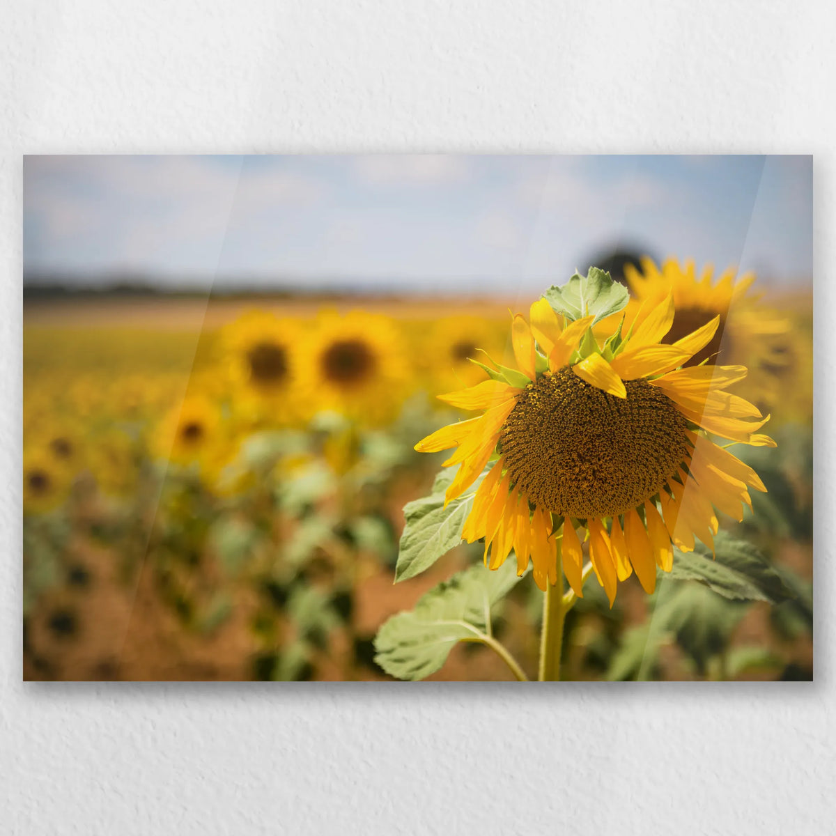 AC-030W020