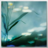 LW-050W050