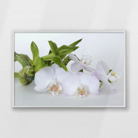 PW-100W070