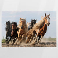 PO-075W050