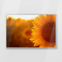 PS-120W080
