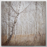 LW-040W040