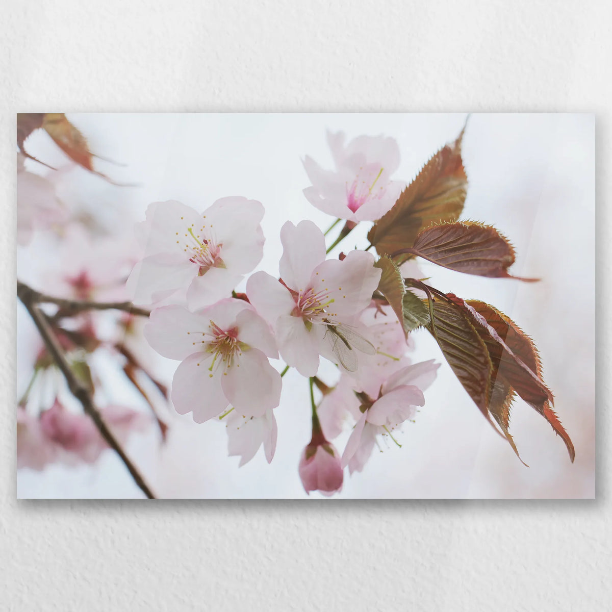 AC-060W040