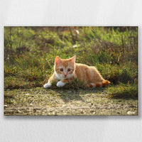 LW-030W020