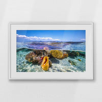 PWP093W062