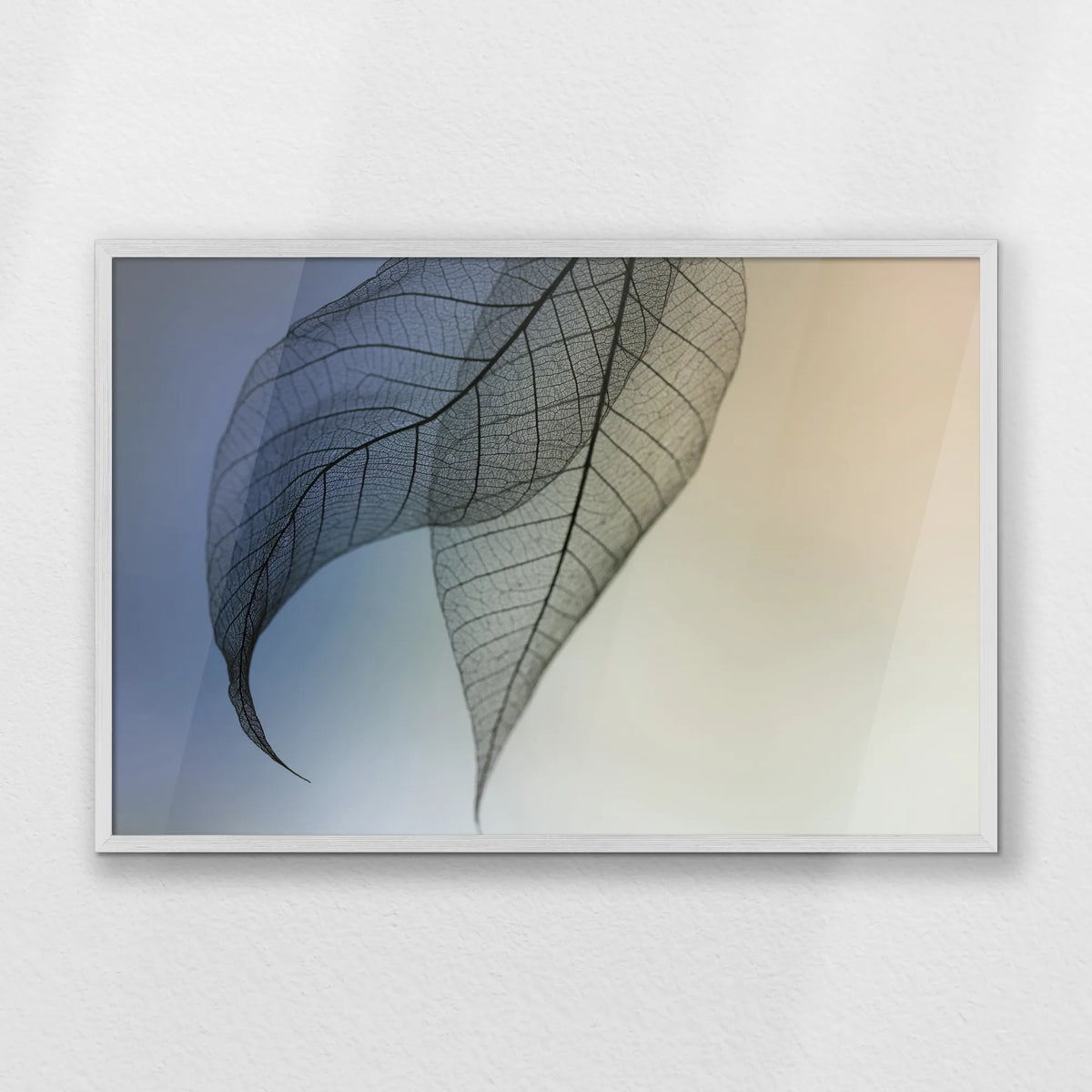 PW-093W062