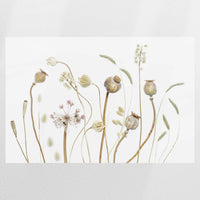 PO-075W050