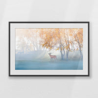 PKP100W070